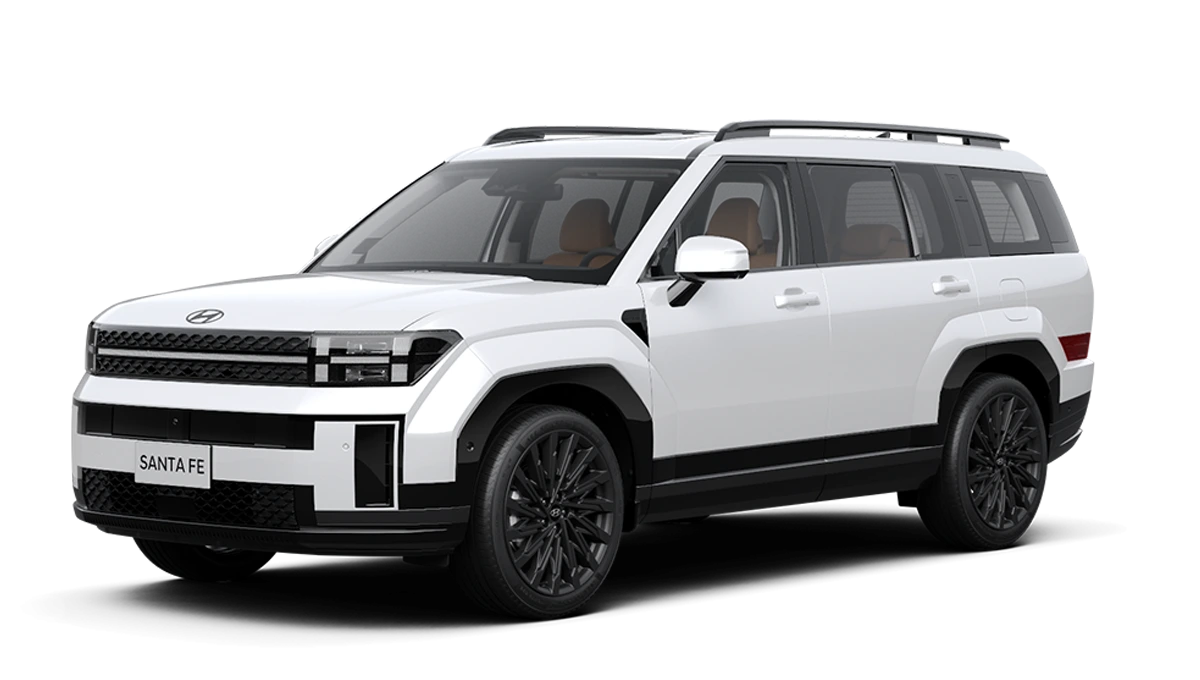 Hyundai Santafe Lạng Sơn